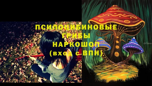 эйфоретик Осташков