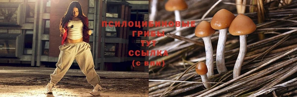бошки Ахтубинск