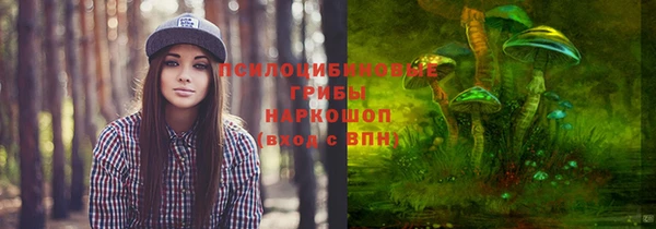 эйфоретик Осташков