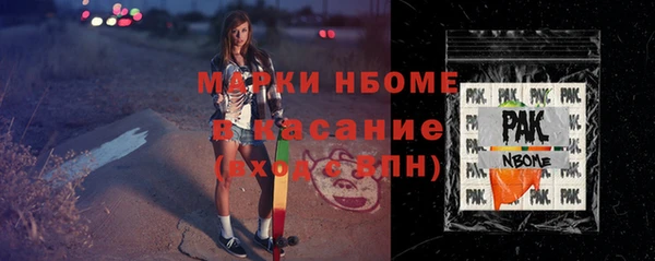 твердый Чегем